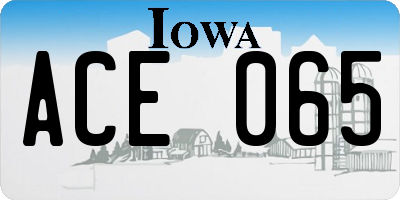 IA license plate ACE065