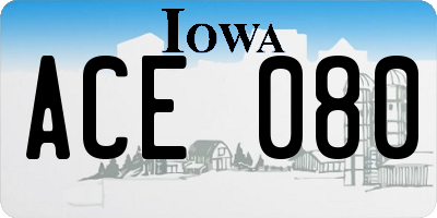 IA license plate ACE080