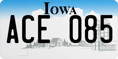 IA license plate ACE085