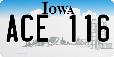 IA license plate ACE116