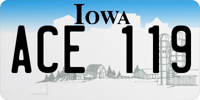 IA license plate ACE119