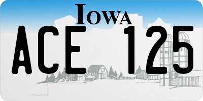 IA license plate ACE125