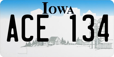 IA license plate ACE134