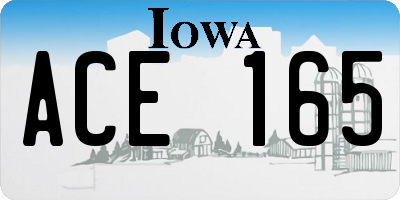 IA license plate ACE165