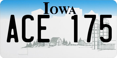 IA license plate ACE175