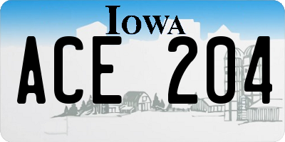 IA license plate ACE204