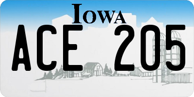 IA license plate ACE205