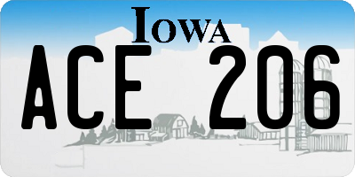 IA license plate ACE206