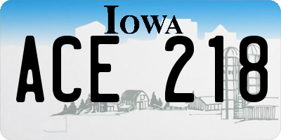IA license plate ACE218