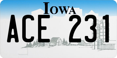 IA license plate ACE231