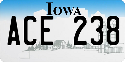IA license plate ACE238