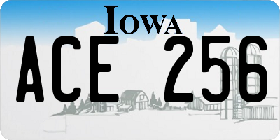 IA license plate ACE256