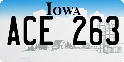 IA license plate ACE263