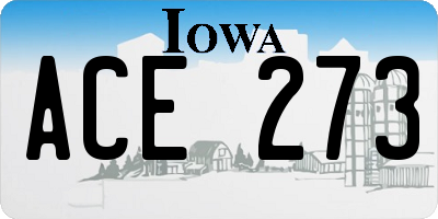 IA license plate ACE273