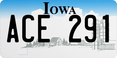 IA license plate ACE291
