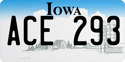 IA license plate ACE293