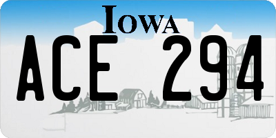 IA license plate ACE294