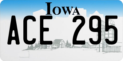 IA license plate ACE295