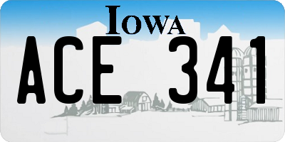 IA license plate ACE341