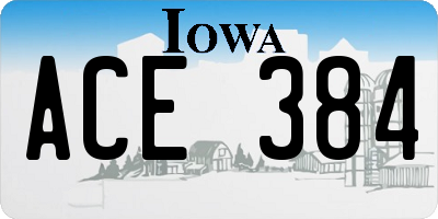 IA license plate ACE384