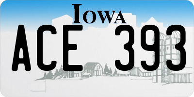 IA license plate ACE393
