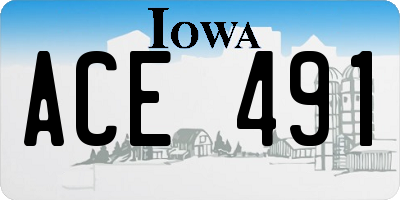 IA license plate ACE491