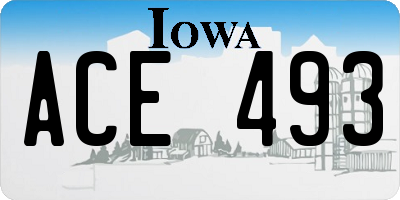 IA license plate ACE493