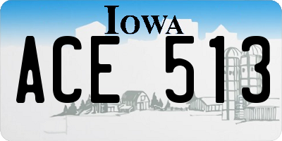 IA license plate ACE513