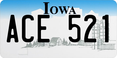 IA license plate ACE521