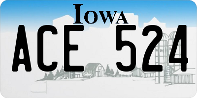 IA license plate ACE524