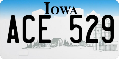 IA license plate ACE529