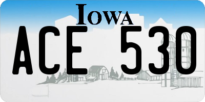 IA license plate ACE530