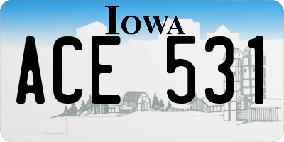 IA license plate ACE531