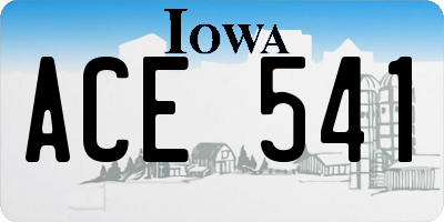 IA license plate ACE541