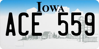 IA license plate ACE559