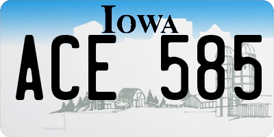 IA license plate ACE585