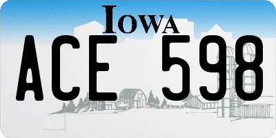 IA license plate ACE598