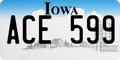 IA license plate ACE599