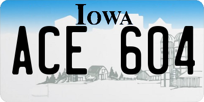IA license plate ACE604