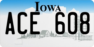 IA license plate ACE608