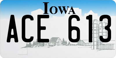 IA license plate ACE613