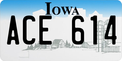 IA license plate ACE614