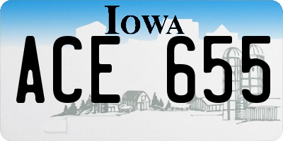 IA license plate ACE655