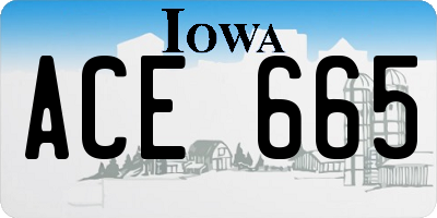 IA license plate ACE665