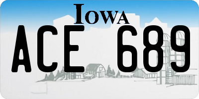 IA license plate ACE689