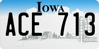 IA license plate ACE713