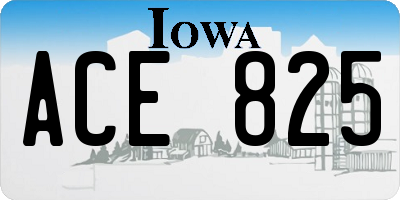 IA license plate ACE825