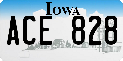 IA license plate ACE828