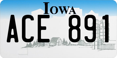 IA license plate ACE891
