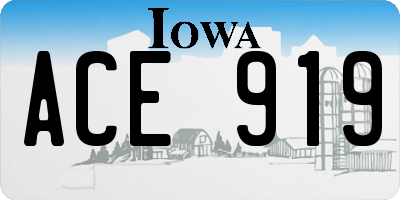 IA license plate ACE919